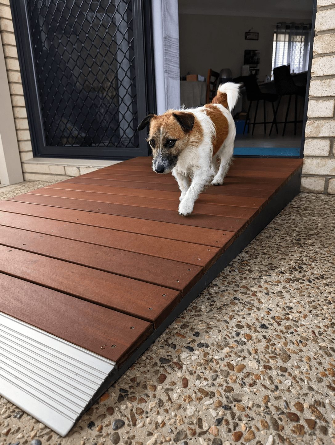 dog walking down a wheel chair access ramp