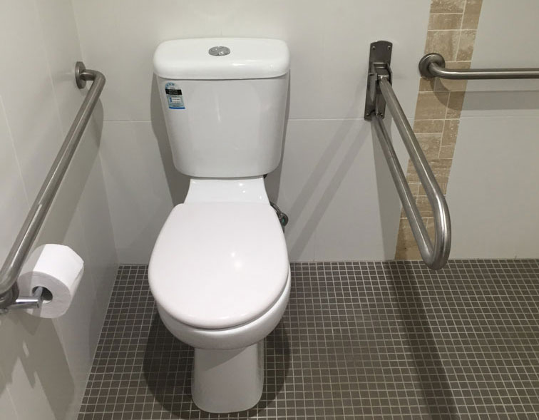 toilet with drop down rails