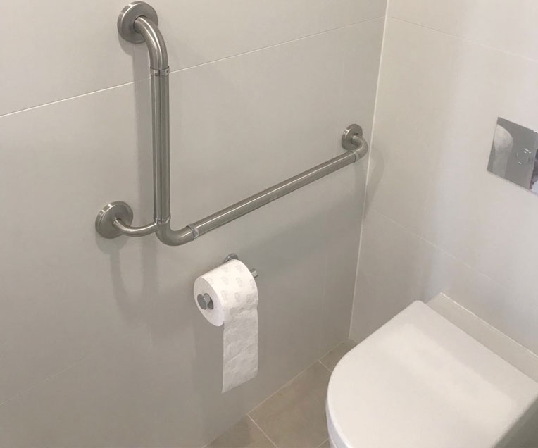 toilet with support rail